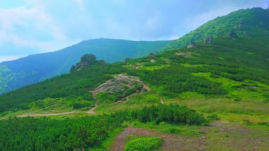 Kayalardan ve Eared Stone Dağı 'nın Alp Tundra bitkilerinden oluşan panorama ve arka planda Smotrych Dağı, Karpatlar, Ukrayna