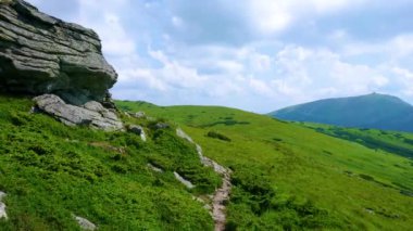 Dağın tepesine giden yol, Eared Stone Dağı (Vykhatyi Kamin) zirvesi, Chornohora sırası, Karpatlar, Ukrayna