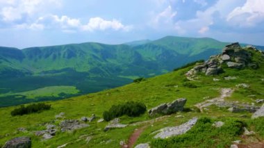 Chornohora 'nın pitoresk yeşil dağ manzarası Eared Stone Dağı' nın tepesinden Karpatlar ve Ukrayna 'ya kadar uzanır.