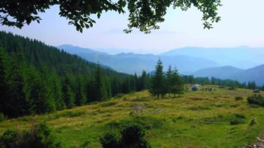 Çevresinde kozalaklı ormanlar ve Karpatlar siluetleri bulunan yeşil Smotrych dağ vadisi (Montan Meadow) panoraması, Dzembronia köyü, Ukrayna