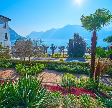 The park of Museo delle Culture (Parco Villa Malpensata) with palms, yucca, Euphobia (spurge) and Erica Carnea (spring heath), Lugano, Switzerland clipart