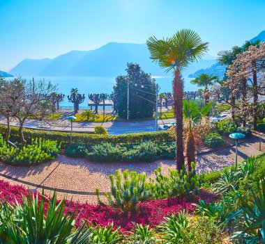 The spring Parco Villa Malpensata with chusan palms, flowering Euphobia (spurge), Erica Carnea (spring heath) in front of hazy Ceresio and Alps, Lugano, Switzerland clipart