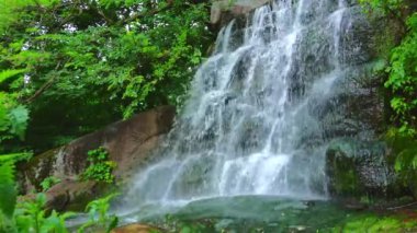 Sofiyivsky Park, Uman, Ukrayna 'nın yemyeşil yeşillikleriyle çevrili, hızlı akan, ferahlatıcı Büyük Şelale.