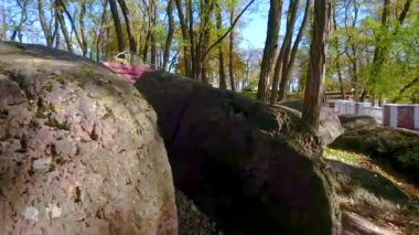 Dağlık sonbahar Drevlians Parkı 'nda uzun sarı ağaçlar, tepelik alanda dev kayalar ve ziyaretçiler için ahşap banklar, Korosten, Ukrayna