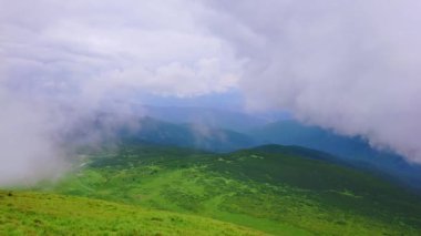 The top of the Mount Hoverla is surrounded with fluffy white clouds, hiding the green mountain landscape of Chornohora Range peaks, Carpathians, Ukraine