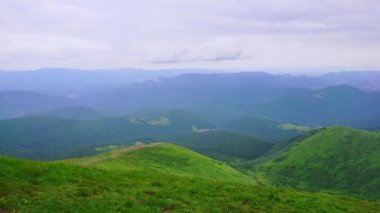 Bulutlu bir günde Hoverla Dağı 'nın tepesindeki yeşil panoramik manzaranın tadını çıkarın, Chornohora Sıradağları, Karpatlar, Ukrayna