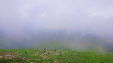 Hoverla Dağı 'nın sarp yeşil yamacı ağır sis, Chornohora Sıradağları, Karpatlar ve Ukrayna ile kaplıydı.