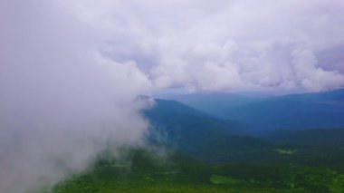 The low fluffy clouds and fog hide the mountain landscape, seen from Mount Hoverla, Chornohora Range, Carpathians, Ukraine