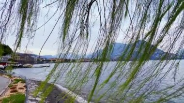 Ceresio Gölü, Lugano seti ve Monte Bre, Ticino, İsviçre ile yeşil söğüt dalları boyunca Panorama