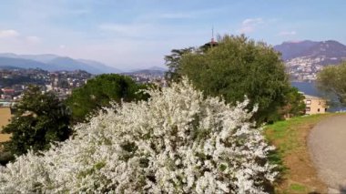 Monte San Salvatore, Lugano, Ticino, İsviçre yamacında yer alan Parco Panoramico Paradiso 'daki güzel çiçekli çalılar, yeşil bitkiler, uzun ve gür ağaçlar.