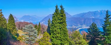 The lush conifer trees and bushes in Parco San Grato in front of the the Lake Lugano, Monte Boglia, Alpine slopes and peaks, Carona, Ticino, Switzerland clipart