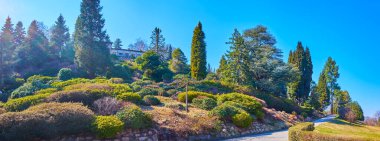 Büyük kozalaklı bitkiler ve rhododendronlar koleksiyonuyla pitoresk yeşil Parco San Grato Panoraması, Carona, İsviçre