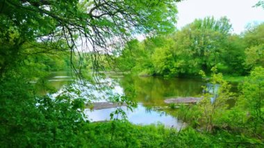 Sığ nehir Ros manzarası yemyeşil orman çalılıkları arasında, Korsun, Ukrayna