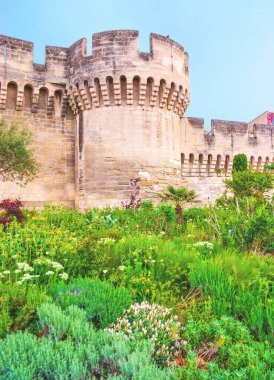 Fransa 'nın başkenti Avignon Duvarı' nın ortaçağ taşı Tour de l Oulle Kulesi önünde yemyeşil otlar ve çiçeklerle dolu güzel çiçek tarhı.