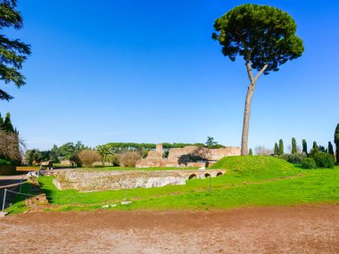 Roma, İtalya 'daki Palatine Hill' deki antik sarayların ve binaların kalıntıları.