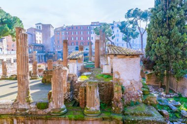 Antik Roma tapınakları ve Pompey Tiyatrosu 'nun kalıntıları Largo di Torre Arjantin, Roma, İtalya