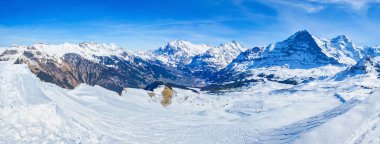 Kışın Bernese Alpleri 'nin Panorama' sı İsviçre 'nin Grindelwald Vadisi' nin derinliklerine karşı Mannlichen Dağı 'nın karlı yamaçlarına bakıyor.