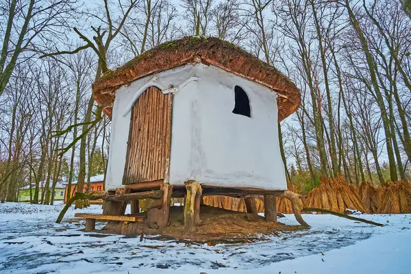 Ukrayna 'nın Pereiaslav Scansen ormanındaki eski kerpiç evi.