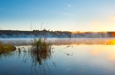 Yeşil sazlıklarıyla Mladost Gölü 'nün güzel sisli gündoğumu kıyıda büyüyor, Veles, Kuzey Makedonya