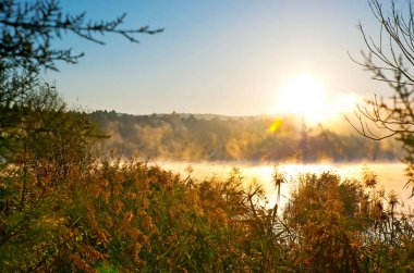 Uzun sarı çayır çalıları buharlı Mladost Gölü 'ne ve altın gündoğumu gökyüzüne, Veles' e, Kuzey Makedonya 'ya vuruyor.