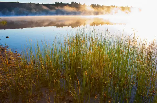 Mladost Gölü, Veles, Kuzey Makedonya 'daki sazlıkların arkasındaki parlak sisli gün doğumu