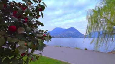 Lugano Gölü, Lugano Gölü, Ticino, İsviçre seti üzerinde çiçek açan çalılar ve yeşil ağaçlar