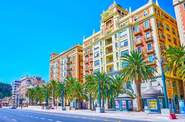 Malaga, İspanya - 26 Eylül 2019: 26 Eylül 'de Malaga' da Plaza de la Marina Meydanı 'nda yürüyün ve gölgeli palmiyelerin oluşturduğu anıtsal binaları ve çizgileri izleyin.