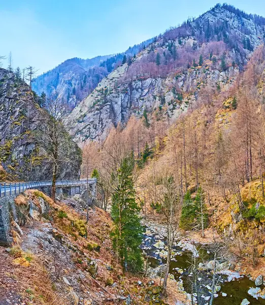Dar kıvrımlı Maggia nehri ve dik yamaçlardaki ormanlar Val Lavizzara, Vallemaggia, Ticino, İsviçre
