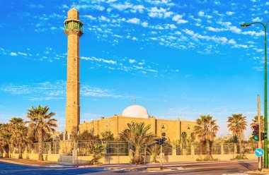 Orta Çağ Hasan Bek Camii 'ni çevreleyen yeşil palmiyeler, Tel Aviv, İsrail