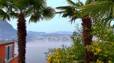 Monte Bre, Lugano, Ticino, İsviçre 'nin yamaçlarından görülen, Lugano Gölü' nün önünde palmiye ağaçları ve çiçek açan sarı akasyalı yeşil bahçe.