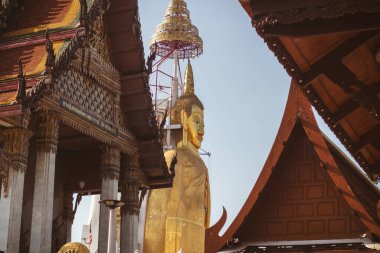 Bangkok Tayland 'daki Budha tapınağı 