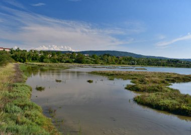 Skocjan Körfezi 'nin doğal rezervi şehir ve Koper kırsalları arasındaki sınıra kadar uzanır. Bunlar Slovenya 'nın en büyük yarı tuzlu sulak alanları..