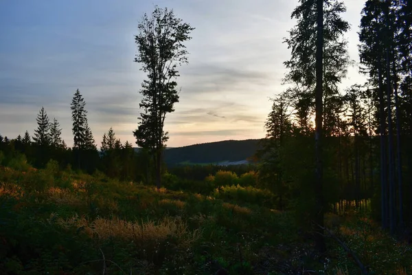 南ボヘミア チェコ共和国の田園の夕景 — ストック写真