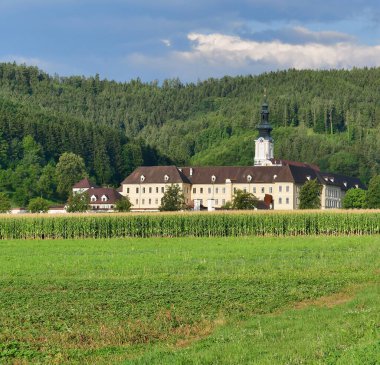 Rein Manastırı Avusturya 'nın Styria eyaletinde bulunan bir manastır. Avusturya, Morimond sınırından Ebrach 'taki manastırın kız manastırı.