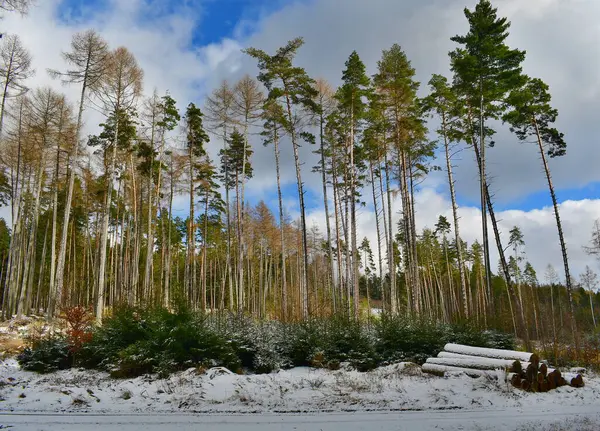 雪景色の眺め 南ボヘミア チェコ共和国 — ストック写真