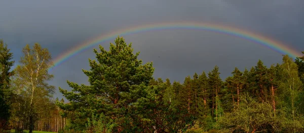 Regnbåge Över Vårlandskapet Södra Böhmen Tjeckien — Stockfoto