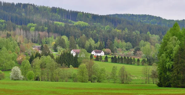 Bahar Manzarası Güney Bohemya Çek Cumhuriyeti — Stok fotoğraf
