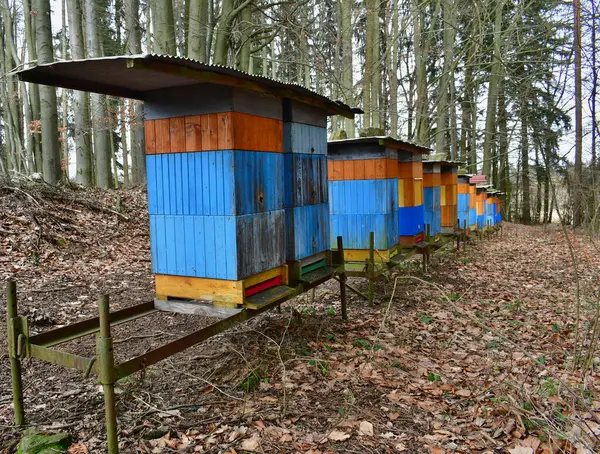 Geleneksel kırsal arıcılık, Güney Bohemya, Çek Cumhuriyeti