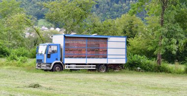Slovenya 'nın Gorica bölgesinde bir kamyonda arıcılık
