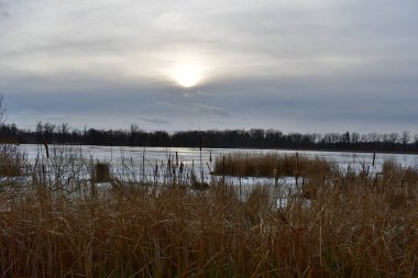 Çek Cumhuriyeti 'nin Güney Bohemya kırsalında göletler