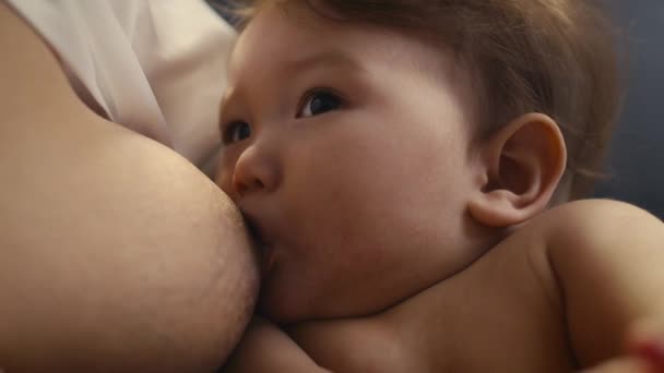 母親に母乳されたアジアの赤ちゃんの極端なクローズアップ 8Kでレッドヘリウムカメラで撮影 — ストック動画