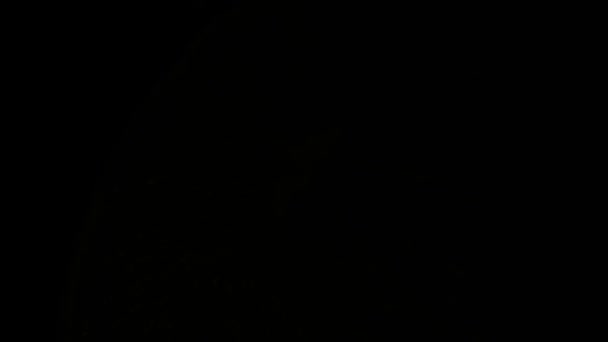 Макровидео Лаймовыми Фруктами Входящими Выходящими Света Съемка Красной Гелиевой Камерой — стоковое видео