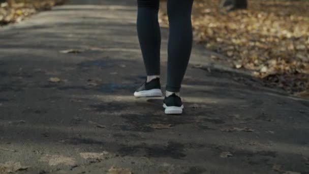 Baixa Seção Das Pernas Mulher Começam Correr Parque Tiro Com — Vídeo de Stock