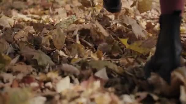 Part Girl Walking Autumn Leaves Shot Red Helium Camera — Stock Video