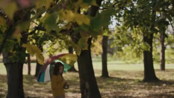 白种人女孩带着彩伞走过公园 用8K的红色氦相机拍摄 — 图库视频影像