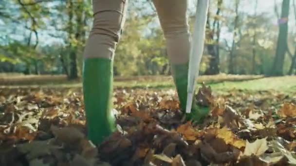 Sección Baja Las Piernas Mujer Con Botas Lluvia Caminando Bosque — Vídeos de Stock