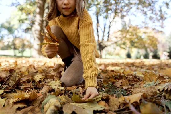 Часть Девушек Ищет Идеальную Осеннюю Листву Парке — стоковое фото