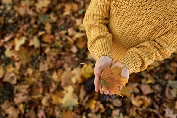 Część Ręki Dziewczyny Trzymając Jesienny Liść Parku — Zdjęcie stockowe
