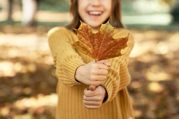 森の中に立つ白人の女の子と黄色の葉を保持 — ストック写真