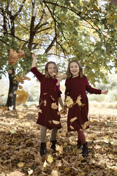 Кавказькі Діти Брати Сестри Розважаються Лісі — стокове фото